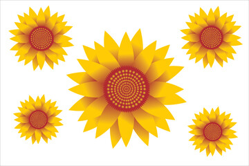 Yellow sunflowers. Illustration of Sunflower Blooming and Beautiful