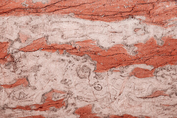 Texture of red marble