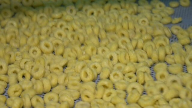 Conveyor for dry breakfast in the form of rings. 2 Shots. Rings move along the conveyor and dry. Plant for the production of rings and flakes using extrusion. Production of dry breakfast at the facto