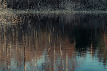 colorful spring forest reflection in calm pond water