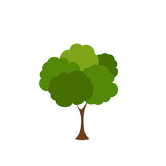 Green fertile trees in a variety of forms on the White Background.  Set of various tree sets. Trees for decorating gardens and home designs. vector illustration and icon