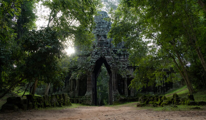 Angkor Lush