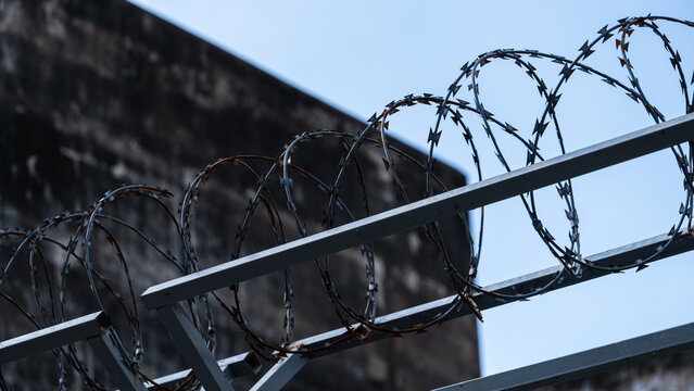 barbed wire
