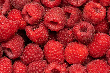 Ripe raspberries. Berries. A handful of raspberries. Scarlet. Raspberry field. Raspberry juice. 