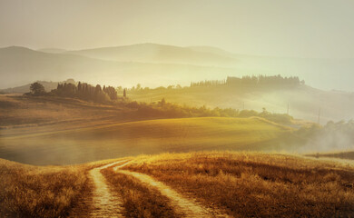 Autumn Italian rural landscape in retro style; Panorama of autumn field with dirt road and cloudy sky. - 527024452