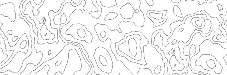 Abstract Topographic Contour Line Pattern in Black and White