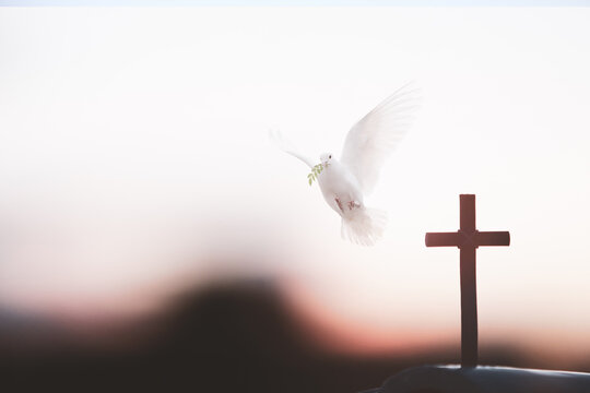 The white dove and the holy cross of Jesus Christ symbolize death and resurrection love.
