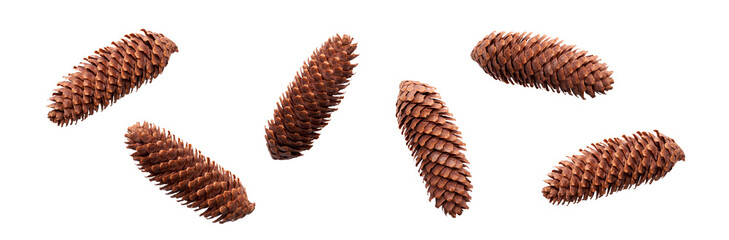 A collection of large, long open pinecones for Christmas tree decoration isolated against a flat...