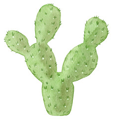 Set of watercolor cactus, succulent, isolated watercolor illustration on white Natural watercolor design elements, botanical collection. Design for wedding,greeting card,photos,blogs,wreaths,pattern.