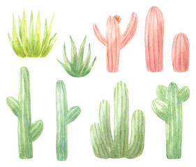 Set of watercolor cactus, succulent, isolated watercolor illustration on white Natural watercolor design elements, botanical collection. Design for wedding,greeting card,photos,blogs,wreaths,pattern.