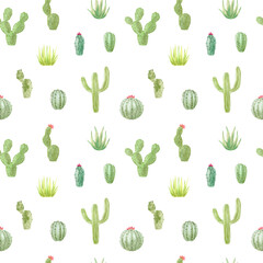 Pattern of watercolor cactus, succulent, isolated illustration on white background. Natural watercolor design elements, botanical collection. Design for textile, fabric, print, wrapping, paper.