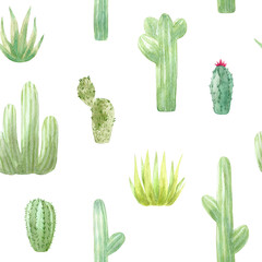 Pattern of watercolor cactus, succulent, isolated illustration on white background. Natural watercolor design elements, botanical collection. Design for textile, fabric, print, wrapping, paper.