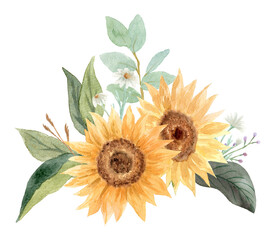 Hand drawn watercolor sunflower flower. Hand painted illustration isolated on white background. Summer sunflowers design logo, wedding decor, floral decoration, textile, tattoo, icon, card, fabric. - 527026089
