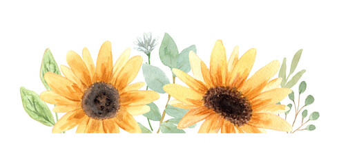 Hand drawn watercolor sunflower flower. Hand painted illustration isolated on white background. Summer sunflowers design logo, wedding decor, floral decoration, textile, tattoo, icon, card, fabric. - 527026095