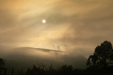 fog over the field