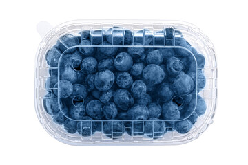 blueberry in a plastic box . Packaging template mockup .