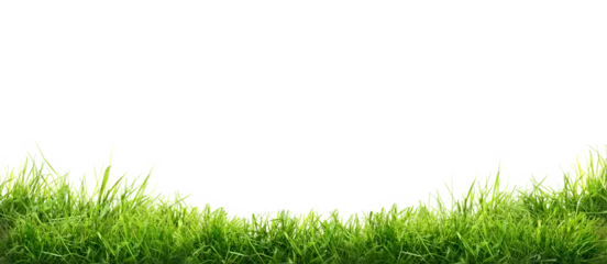 Deurstickers Gras Vers groen gras geïsoleerd tegen een vlakke achtergrond