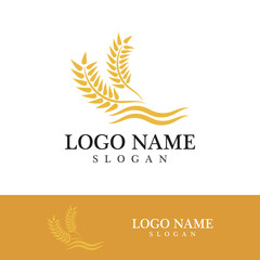 Agriculture wheat vector