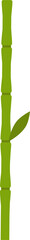 Fototapeta premium bamboo design illustration isolated on transparent background