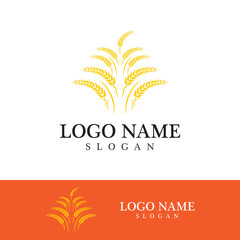 Agriculture wheat vector