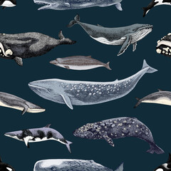 Gently seamless pattern with different whales.