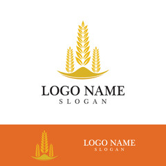 Agriculture wheat vector