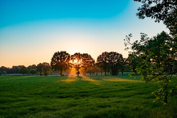 A Wide Angle View of a Beautiful Meadow with some mist under a blue sky at sunrise or sunset with the sun shining through the trees . High quality photo