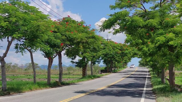 View of the mountains at Luye highland, Taitung