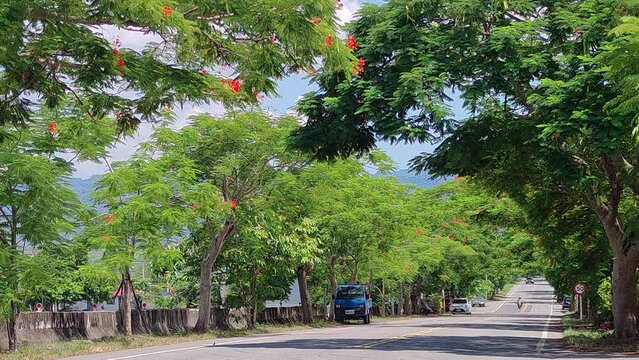 View of the mountains at Luye highland, Taitung