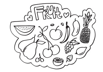 Doodle fruit set. hand drawing of fruits in different styles.