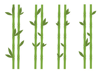 Fototapeta na wymiar bamboo vector design illustration isolated on white background