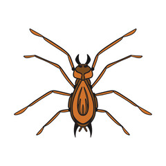 Hand drawn doodle spider, vector illustration for Halloween