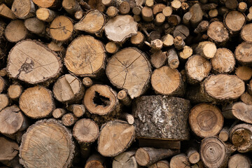 Firewood stack. Wooden logs in a pile. A pile of chopped wood. Background from round stacked firewood.