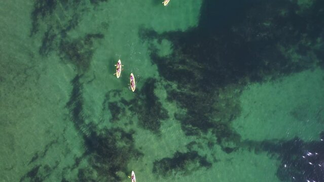 Aerial drone 4K video rowing in sports kayak in tropical Caribbean exotic destination with turquoise calm sea
