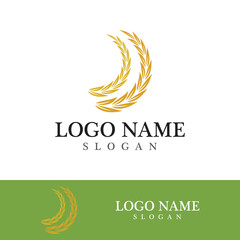 Agriculture wheat vector