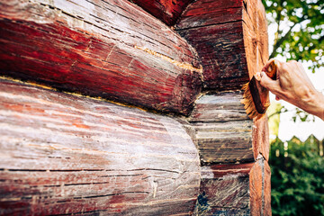 Hand varnishing of wooden house facade closeup. Timber home repair, renovation for wall protection from moisture. Man working with paintbrush painting log applying varnish selective focus