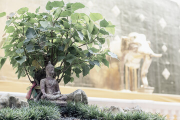 Buddha statue under bohdi tree on golden pagoda blurred background.