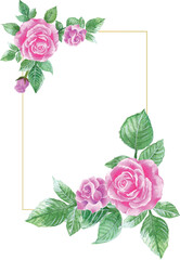 watercolor rose flowers. floral illustration, Leaf, Botanic composition for wedding or greeting card