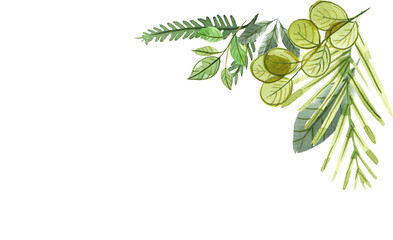 watercolor leaf and brunch and frame