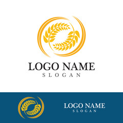 Obraz premium Agriculture wheat vector