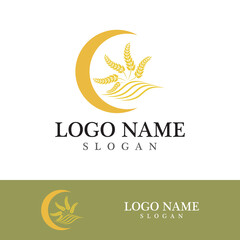 Agriculture wheat vector