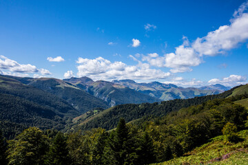 Fototapeta na wymiar Summer landscape in the mountains of Navarra, Pyrenees, Spain