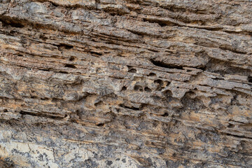 Textura de rocha quartzito 