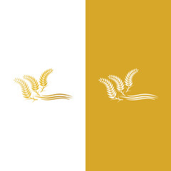 Agriculture wheat vector