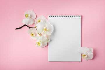 Notepad sheet and white orchid flowers on a pink background.