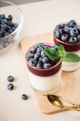 Gelatin dessert with blueberries.