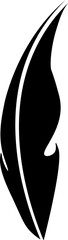 feather vector design illustration isolated on transparent background 