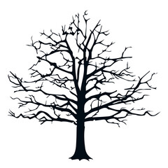 Black tree silhouette isolated on white background