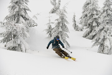 active freeride skier rides on powder snow down mountain slope along fir trees