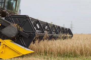 Fototapeta premium modern combine working in the field with grains